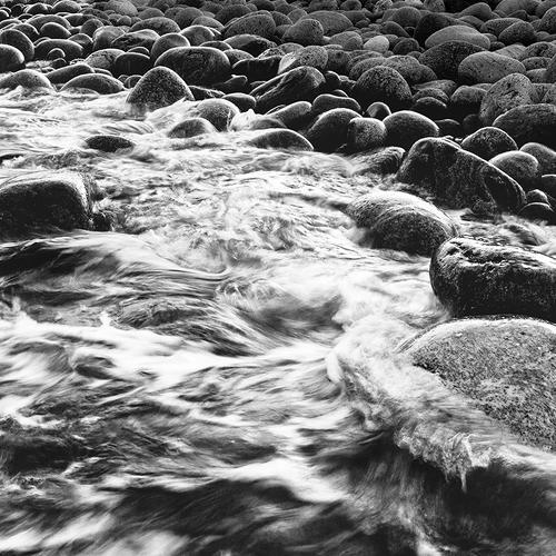 Photo #5122095