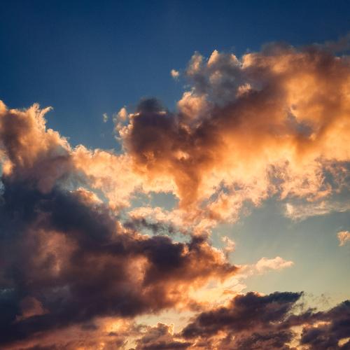 Photo #5122268