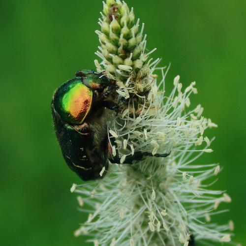 Photo #5122274