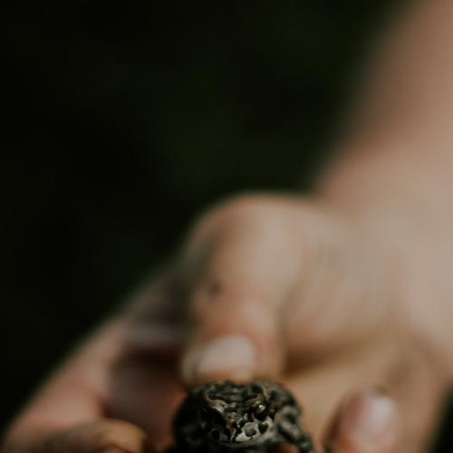Photo #5122457
