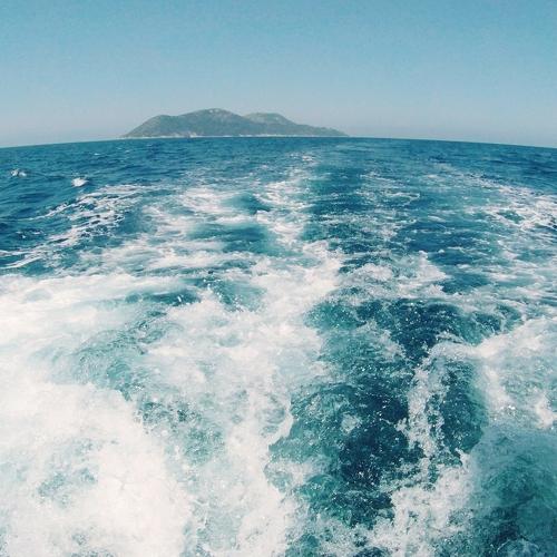 Photo #5122582