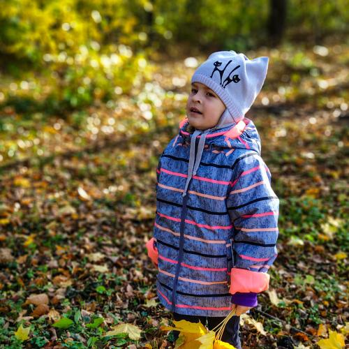 Photo #5122628