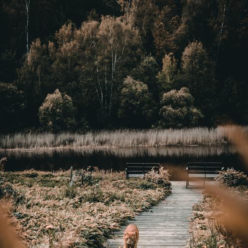 Photo #5122638