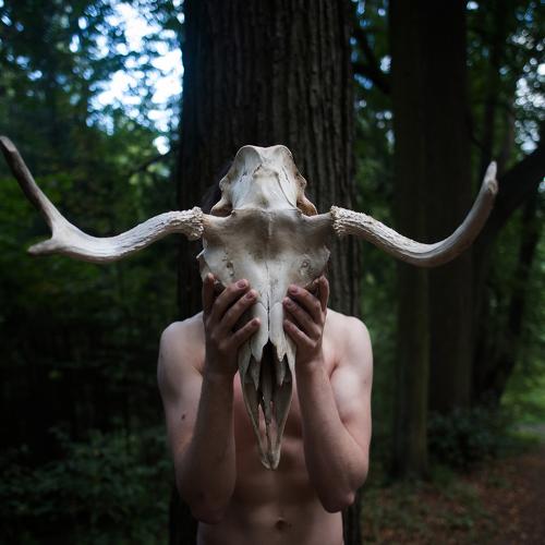 Фотография #5122975