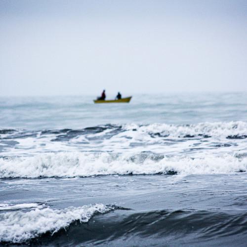Photo #5122994