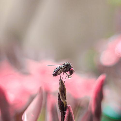 Photo #5123060