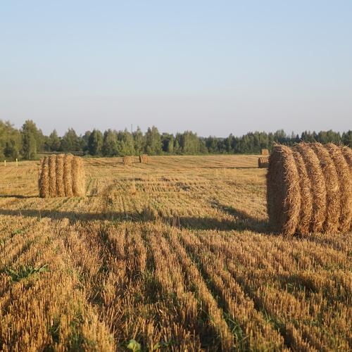 Photo #5123069