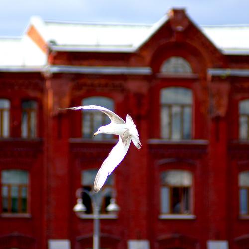 Photo #5123124