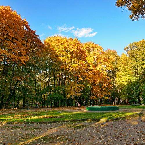 Осень в парке.