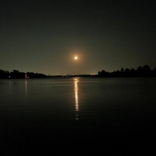 Photo #5123246