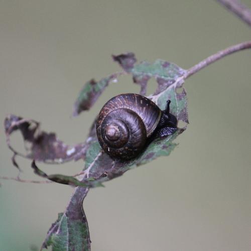 Photo #5123273