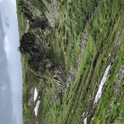 Photo #5123410