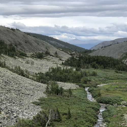 Photo #5123411