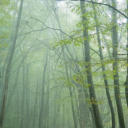 Photo #5123673