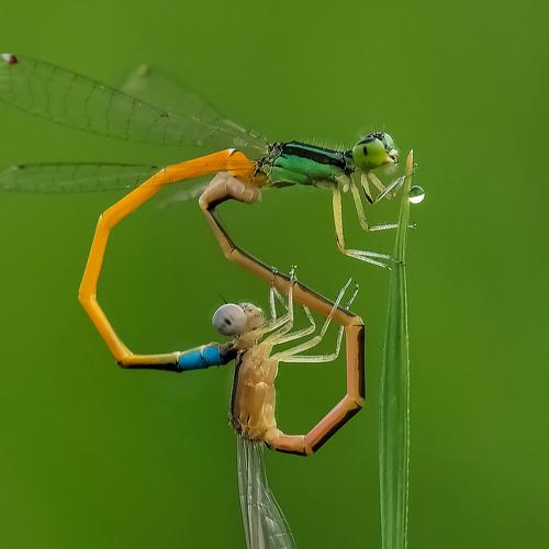 Photo #5123850