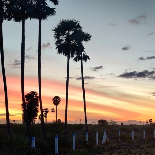 Photo #5123962