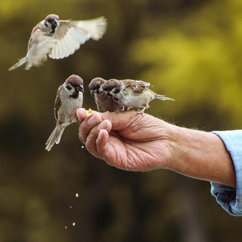 Photo #5124380