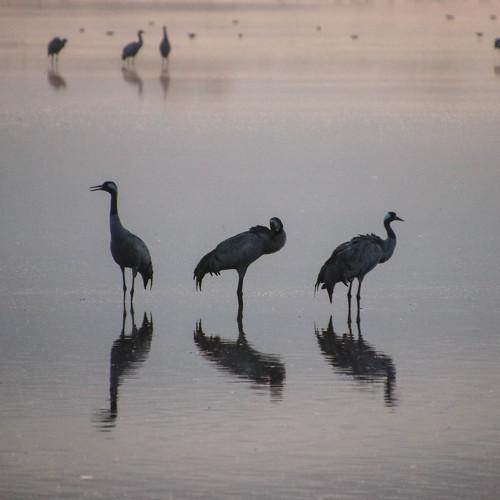 Photo #5124386