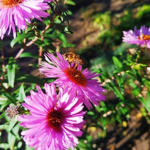 Photo #5124422