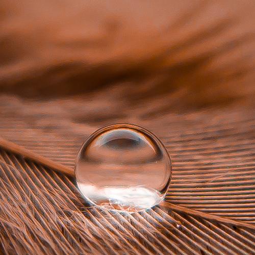 Photo #5124664
