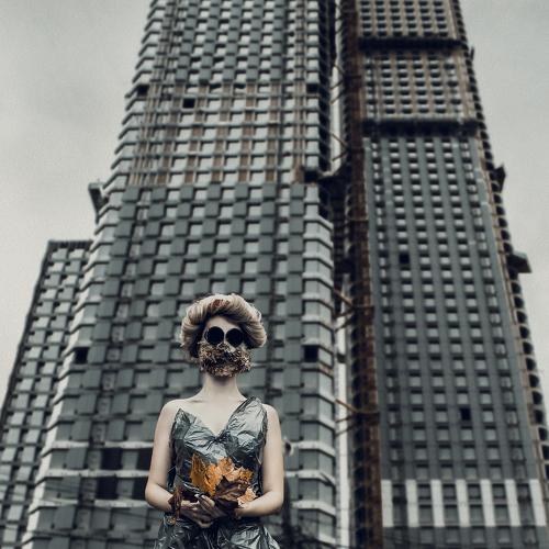 Photo #5125037