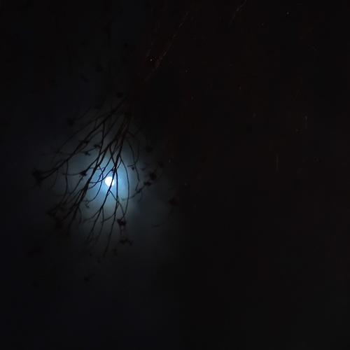 Photo #5125314