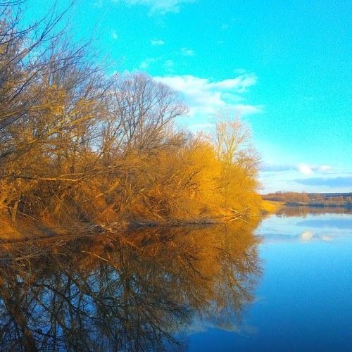 Photo #5125368