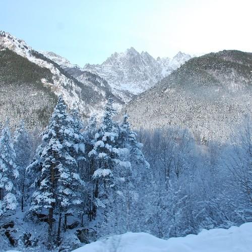 Photo #5125398