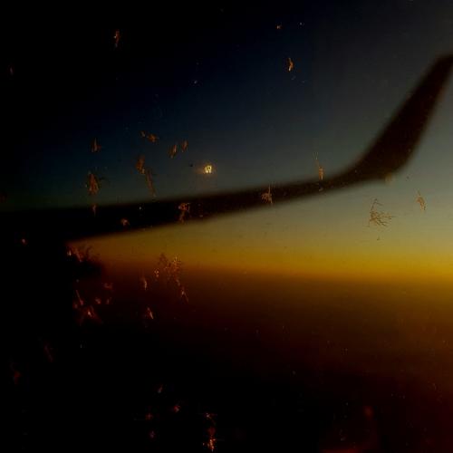 Photo #5125444