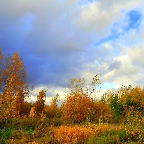 Photo #5125667