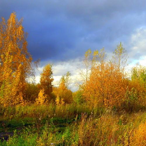 Photo #5125668