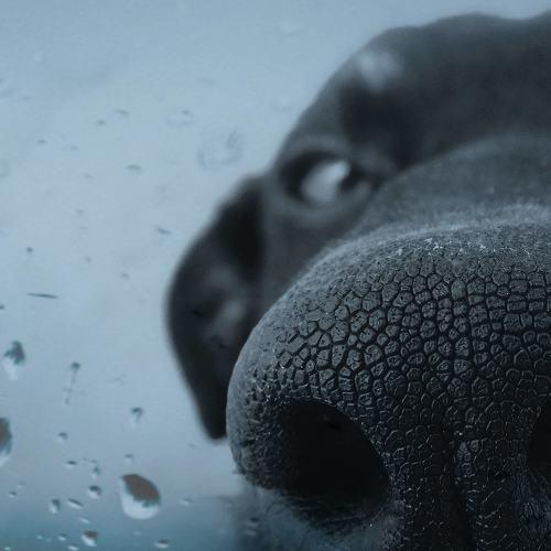 Photo #5125715