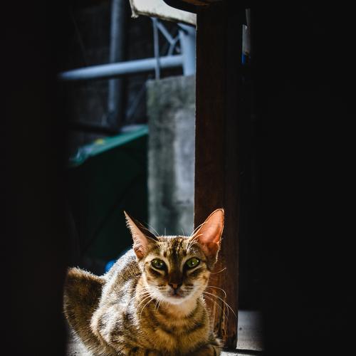 Photo #5125718