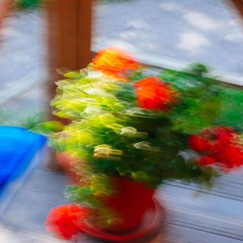 Photo #5125788