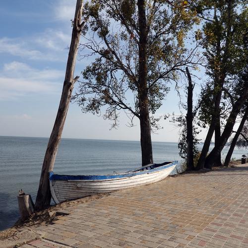 Photo #5126397