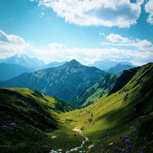 Photo #5127025