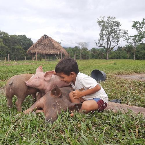 Photo #5127188