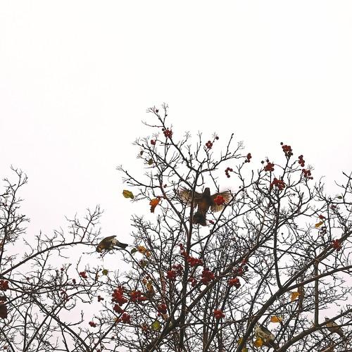 Photo #5127477