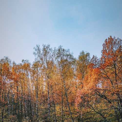 Photo #5127490