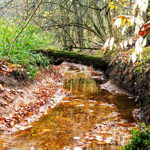 Photo #5127491