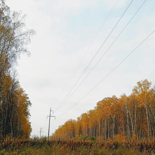 Photo #5127495