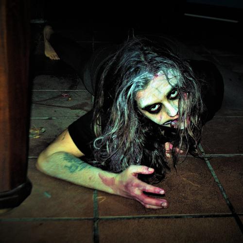Photo #5127617