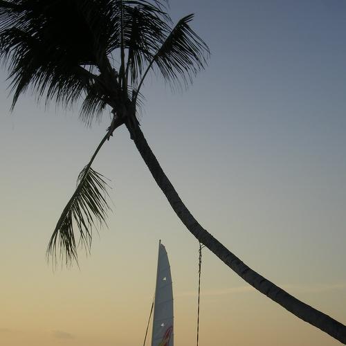 Photo #5127809