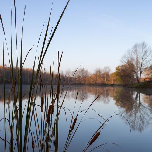 Photo #5128092