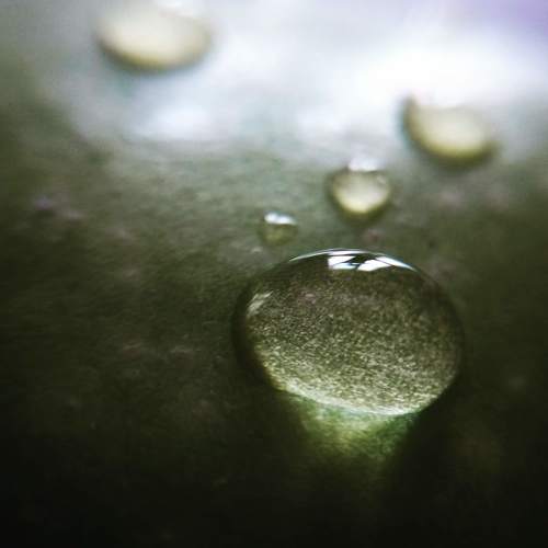 Photo #5128289