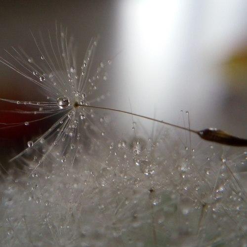 Photo #5128290