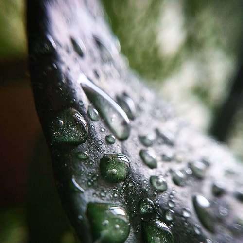 Photo #5128383
