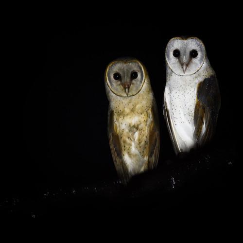 Photo #5128584