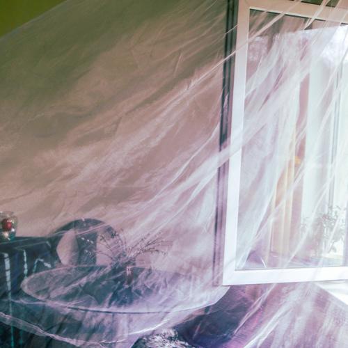 Photo #5128999