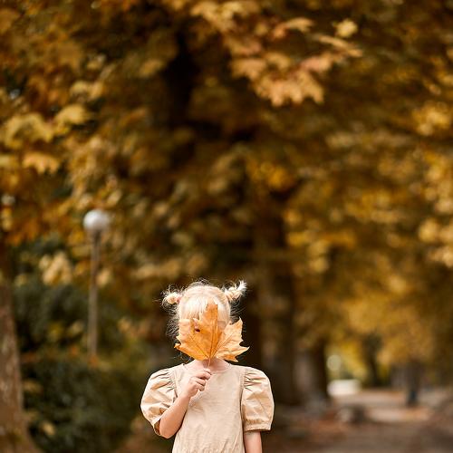 Photo #5129090